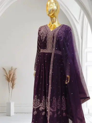 Wedani lifestyle Anarkali gown 